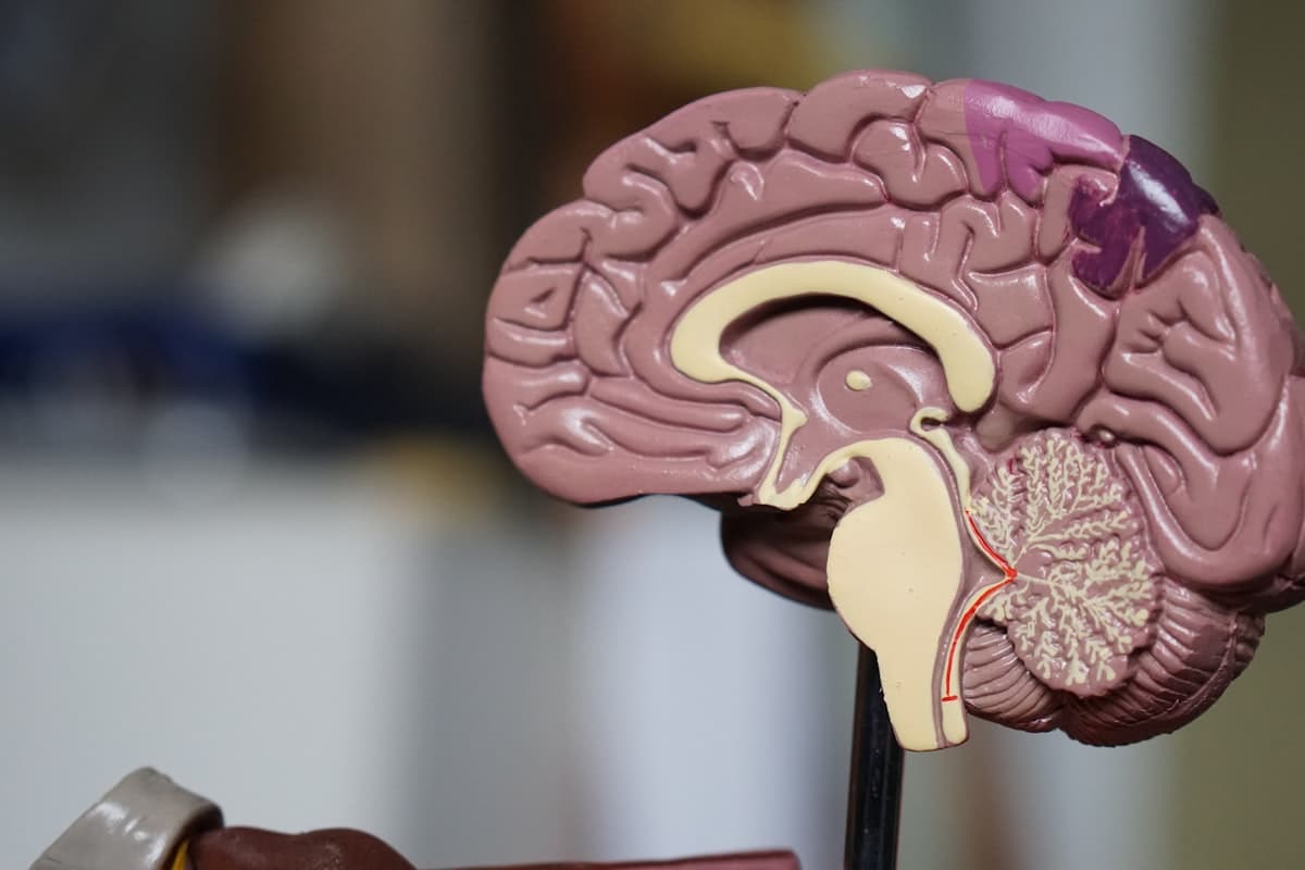 Network Marketing Psychologie: Warum Menschen MLM beitreten